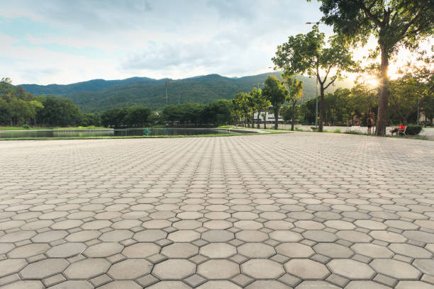 Best Local Driveway Pavers  in Ashdown, AR