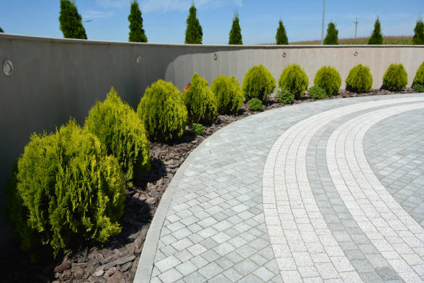 Best Custom Driveway Pavers  in Ashdown, AR